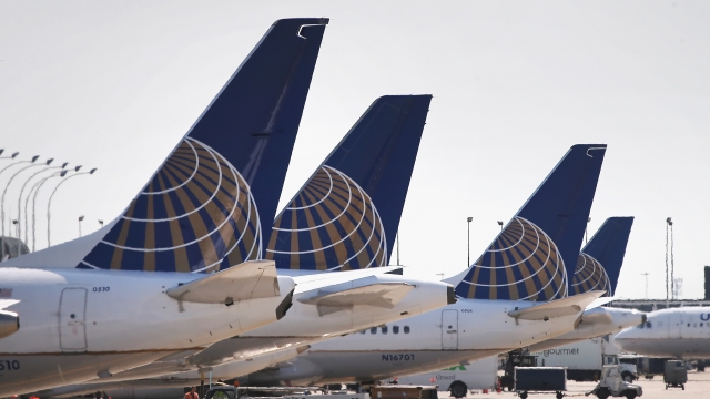 The tails of United Airlines planes