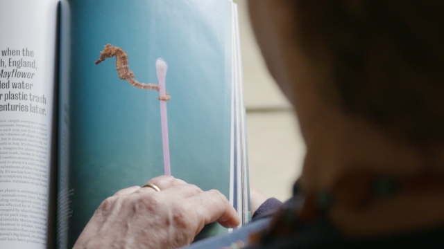 Journalist Laura Parker looks at an image of a sea horse holding a q-tip.