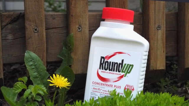 A picture of a Roundup bottle