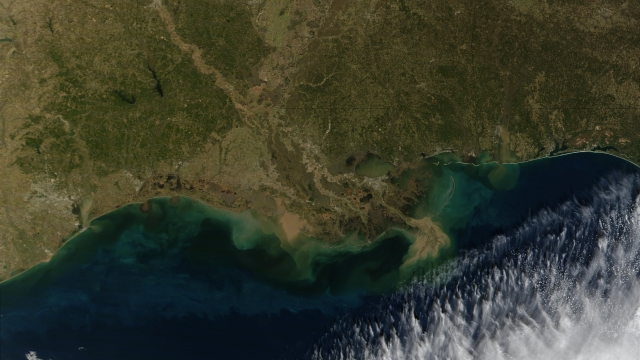 Gulf of Mexico dead zone.