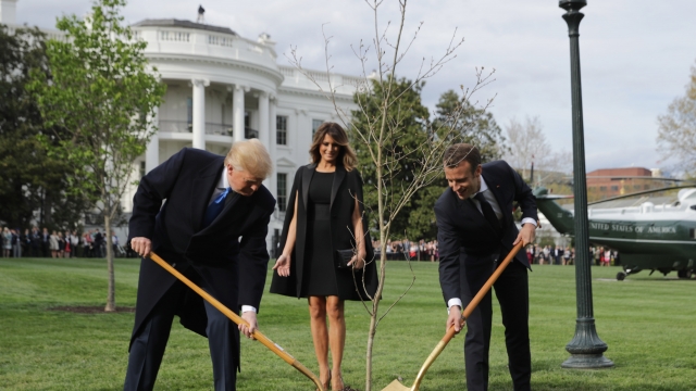 President Trump and French President Emmanuel Macron plant a tree