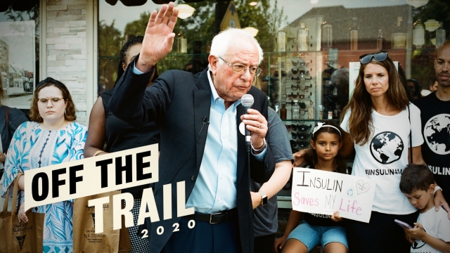 Democratic Presidential Candidate Sen. Bernie Sanders speaks to a crowd in Windsor, Canada.