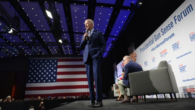 Democratic presidential candidate and former Vice President Joe Biden speaks on stage during a forum on gun safety
