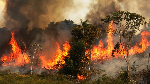 Fire near grazing land in the Amazon basin