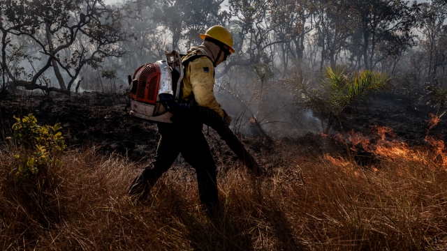 Firefighter battles fire in the Amazon.