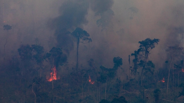 Wildfire in the Amazon rainforest.