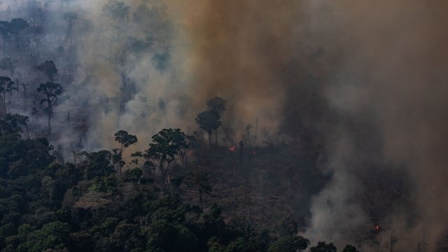 A fire burns a section of the Amazon in Brazil