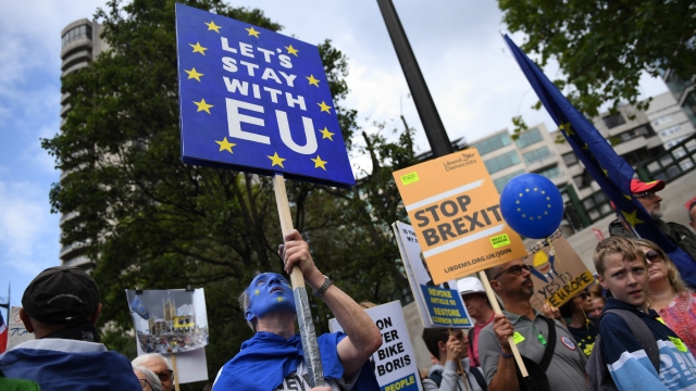 Protesters holding placards march to Parliament Square in Westminster during the "No To Boris, Yes To Europe" March