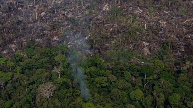 Fire damage in Brazil's Amazon rainforest