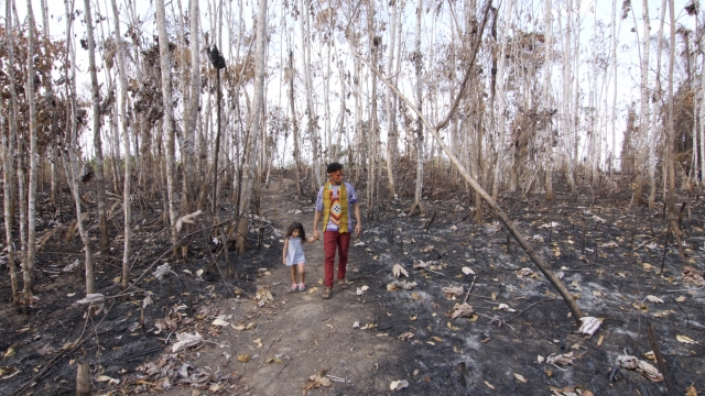 Txana Siã walks among charred land in the Huwã Karu Yuxibu Center