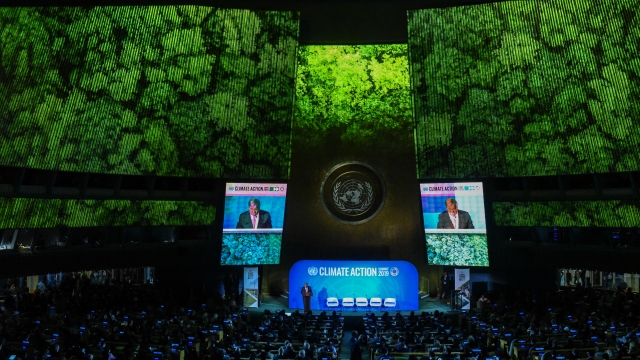 United Nations Climate Summit 2019