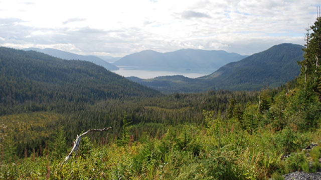 Central Tongass landscape project area in Tongass National Forest