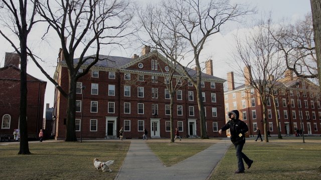 Student on Harvard's campus