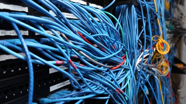 Network cables are plugged in a server room