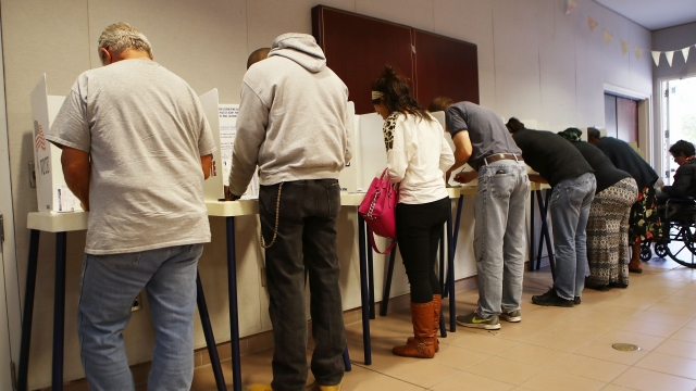 Voters at a polling place