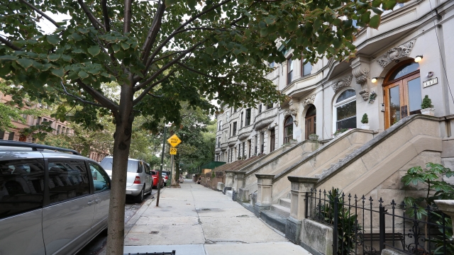Street in Brooklyn