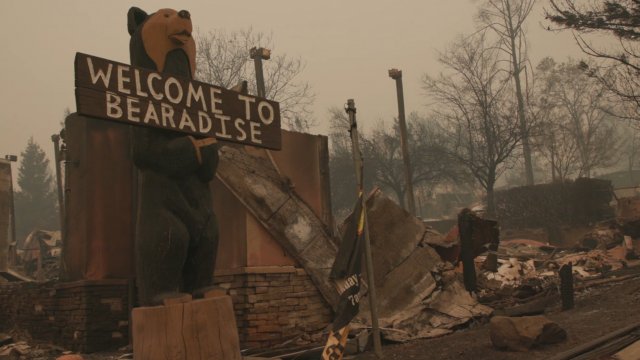 Welcome to Bearadise sign after wildfire