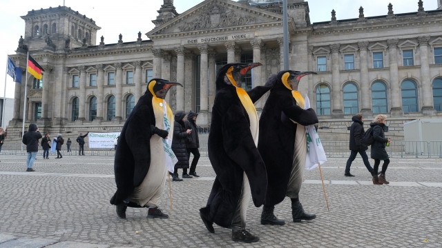 Climate protesters dressed as penguins