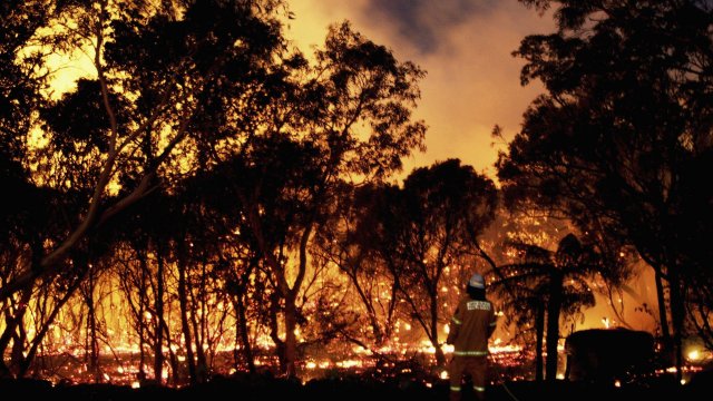 A firefighter battles a blaze in Australia