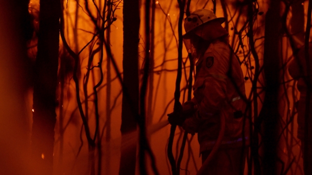 A firefighter battles flames in Australia