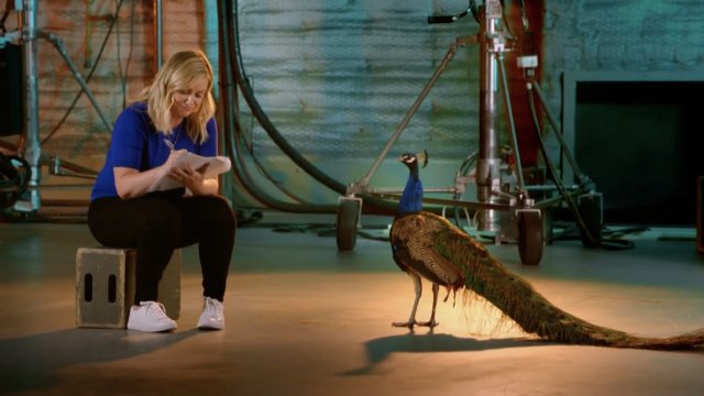 Amy Poehler sits with peacock.