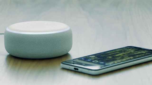 A smart speaker and cell phone can connect patients with health records and medical information.