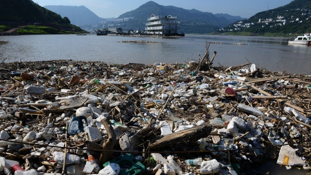Rubbish floats on the Yangtze River