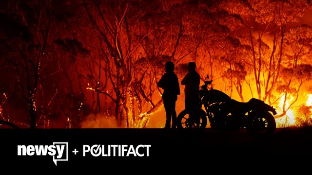 What The Fact: Australia Bushfires