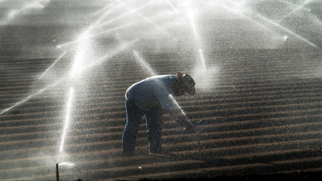 A California farmer irrigates his field