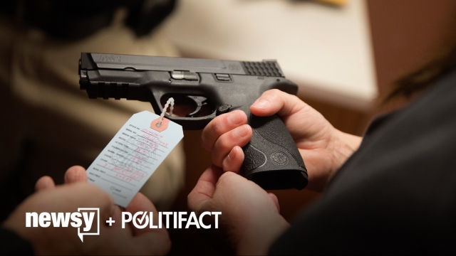 What The Fact: State Of Gun Background Checks