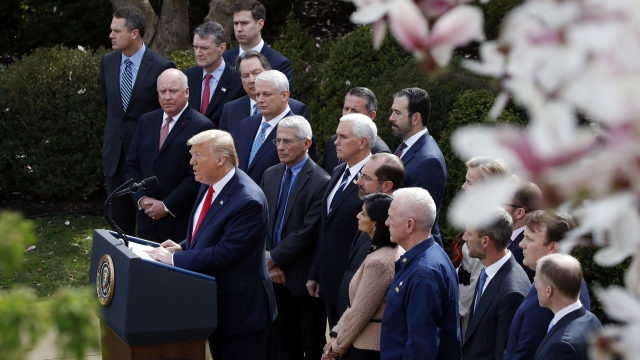 President Trump makes a speech in the Rose Garden