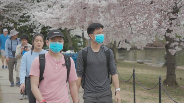 People view cherry blossoms while wearing masks