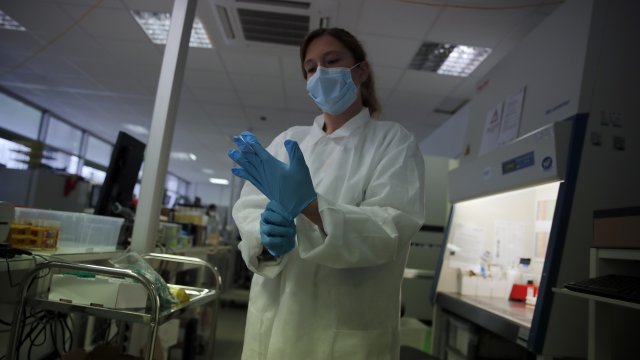 A laboratory technician prepares her protective gloves.