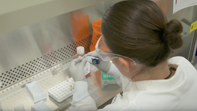 A lab researcher works on a coronavirus vaccine.