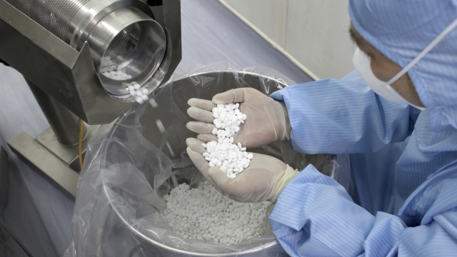 Employees producing chloroquine phosphate tablets