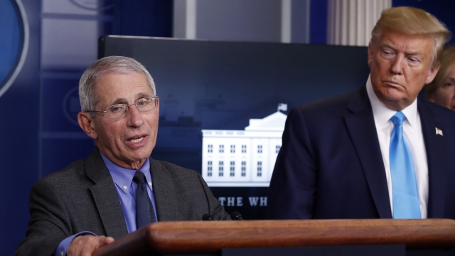 Anthony Fauci with President Trump