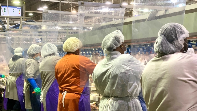 In company-provided photo,Tyson Foods employees at Camilla, Georgia poultry processing plant work in protective gear.