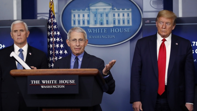 President Donald Trump and Vice President Mike Pence listen as Dr. Anthony Fauci speaks.
