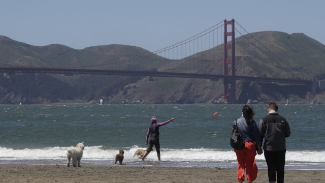 San Francisco is one of the most popular cities among millennials