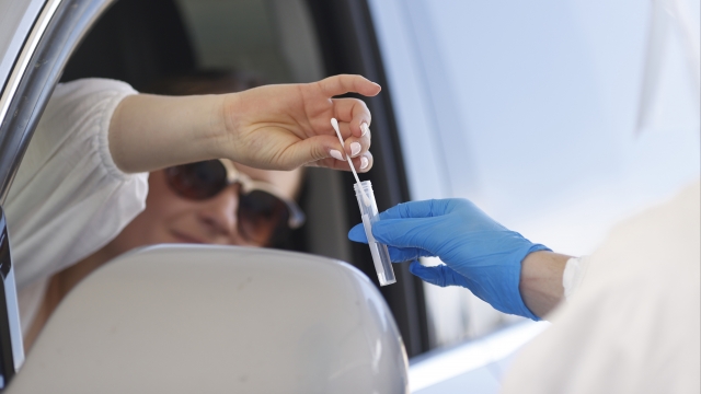 A motorist drops a swab in a vial after administering a nasal test.