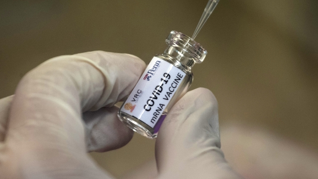 A bottle of a COVID-19 vaccine candidate
