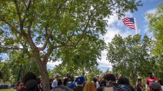 The tree where Robert Fuller's body was found hanging in Palmdale, California
