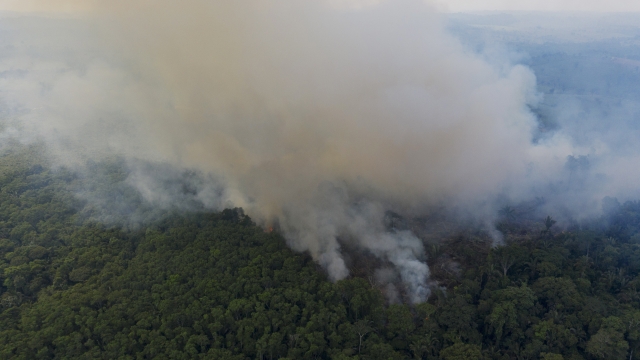 Smoke rises from a fire in the Amazon rainforest.