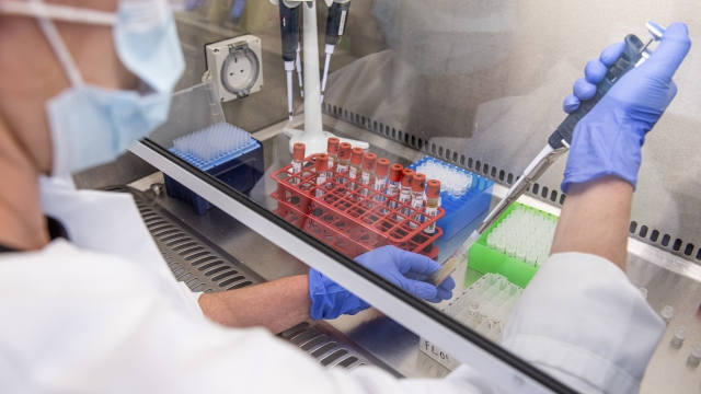 A researcher handles samples