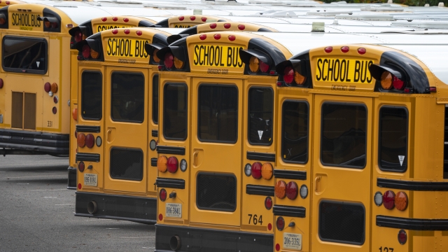 Fairfax County Public School buses