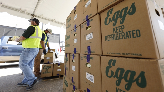 Cases of eggs from Cal-Maine Foods, Inc., await to be handed out by the Mississippi Department of Agriculture and Commerce