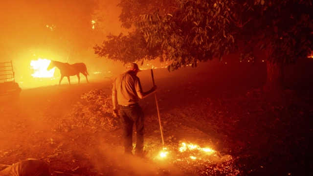 A man works to save his home as the LNU Lightning Complex fires tear through Vacaville, Calif.