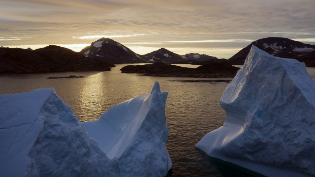 Large Icebergs floating in Greenland