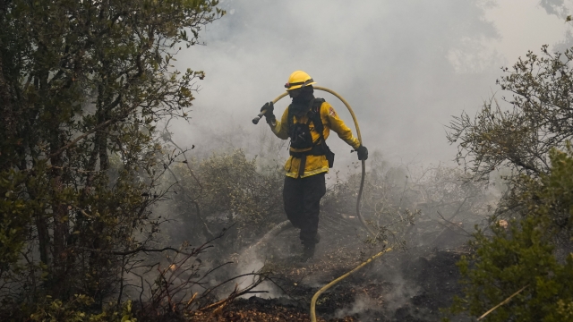 Firefighter battles hotspots Thursday in CZU August Lightning Complex Fire in California's Santa Cruz Mountains.