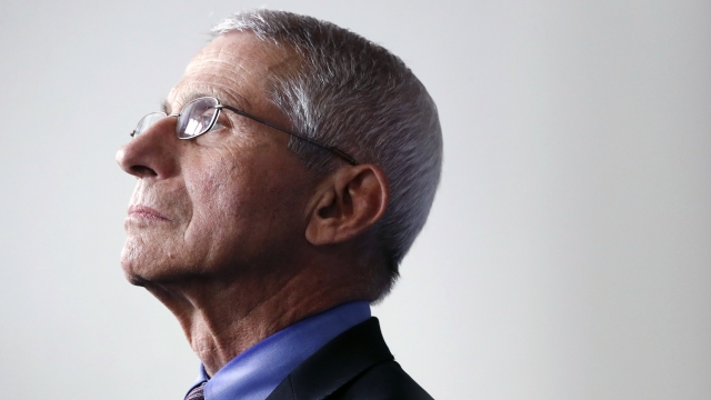 Dr. Anthony Fauci, director of National Institute of Allergy and Infectious Diseases, during a briefing in April.